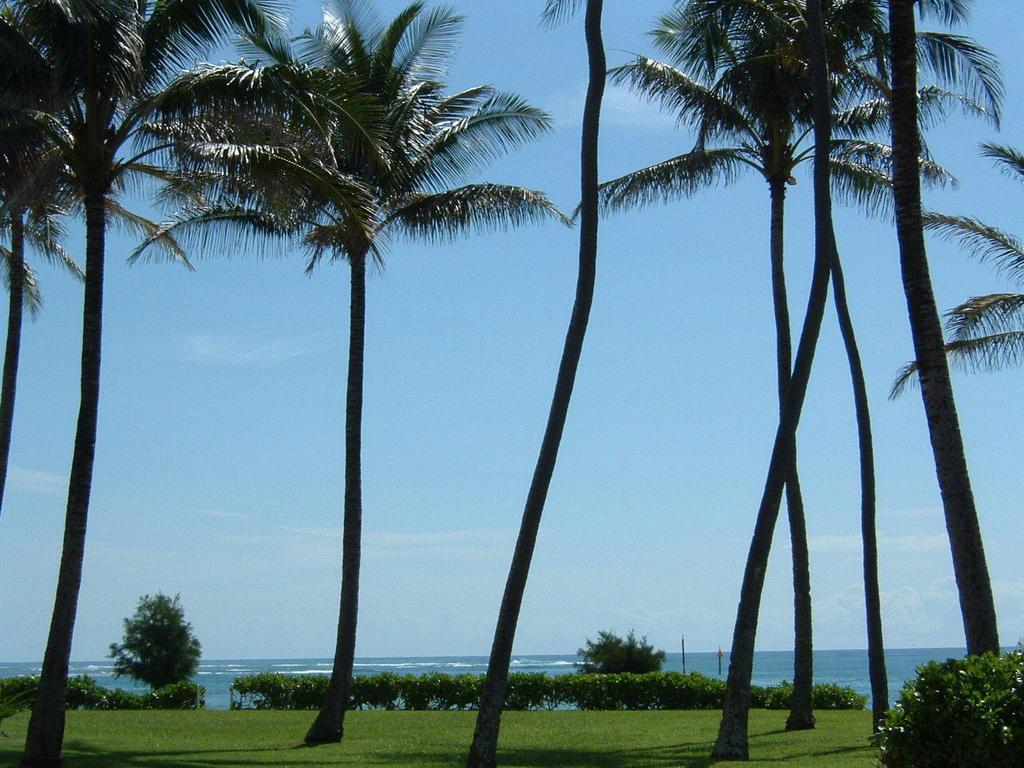 Fairway Villas Honolulu Buitenkant foto